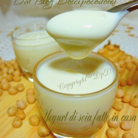 Yogurt di soia fatto in casa