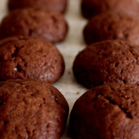 Biscotti doppio cioccolato - Double chocolate cookies 