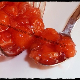 Marmellata di amarene con fruttapec