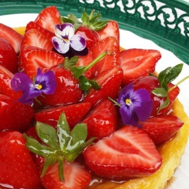CHEESE CAKE ALLE FRAGOLE