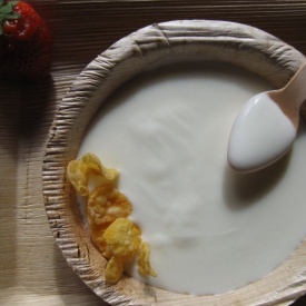 Yogurt fatto in casa